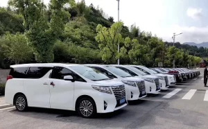 alquiler de coches