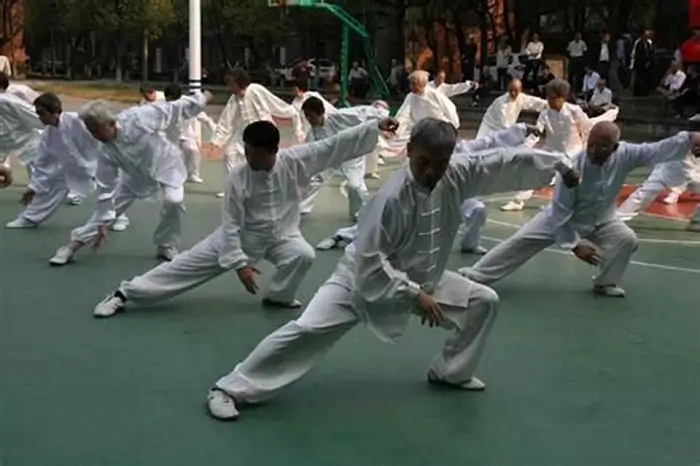 Aprendiendo Kung Fu Hoy en Día