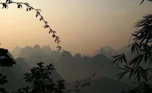 rio li