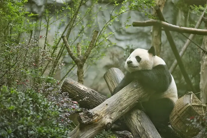 que visitar en china