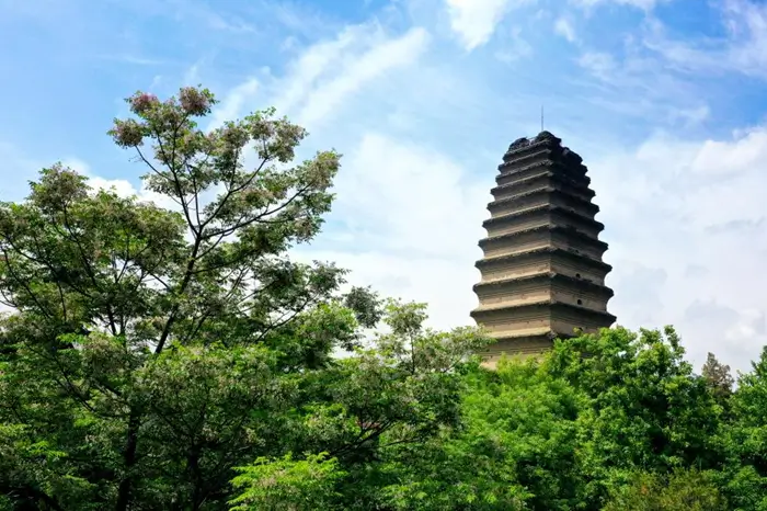 La Pequeña Pagoda del Ganso Salvaje