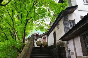 Sendero de las Montañas de Chongqing