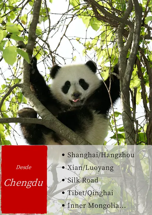 Desde Chengdu