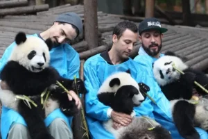 Chengdu Panda Base