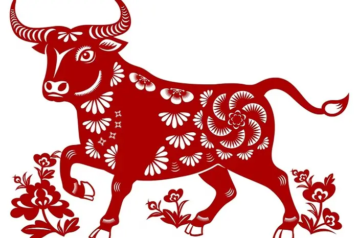 Búfalo