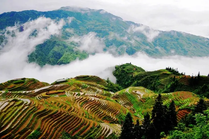 longsheng guilin