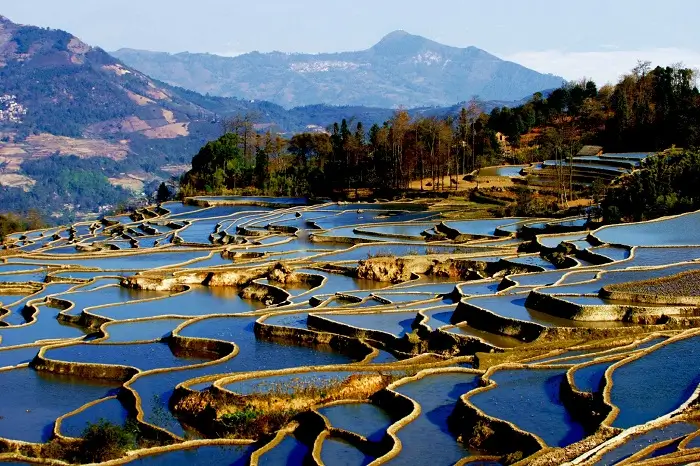 terrazas de arroz en china