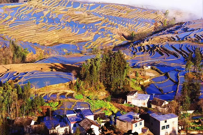 Terrazas de Arroz de Yuanyang