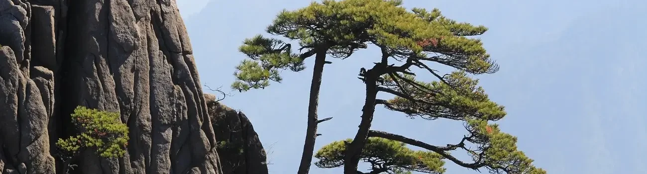 Montañas Amarillas