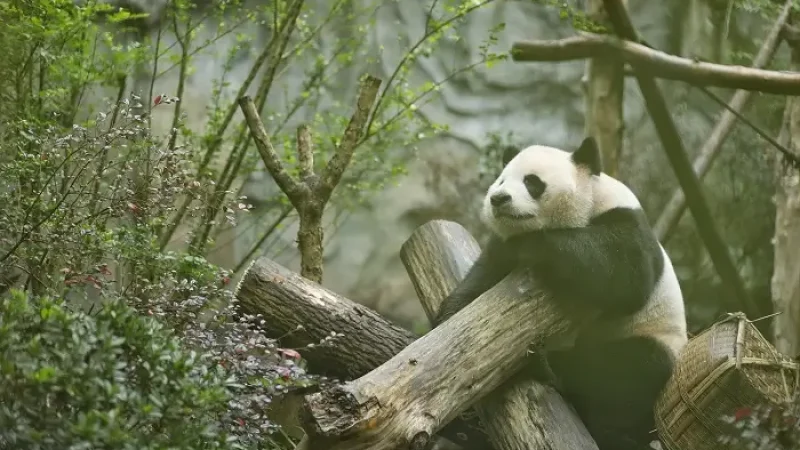 que visitar en china